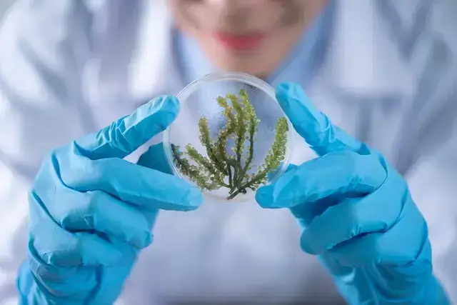 Biology 2023 JAMB syllabus