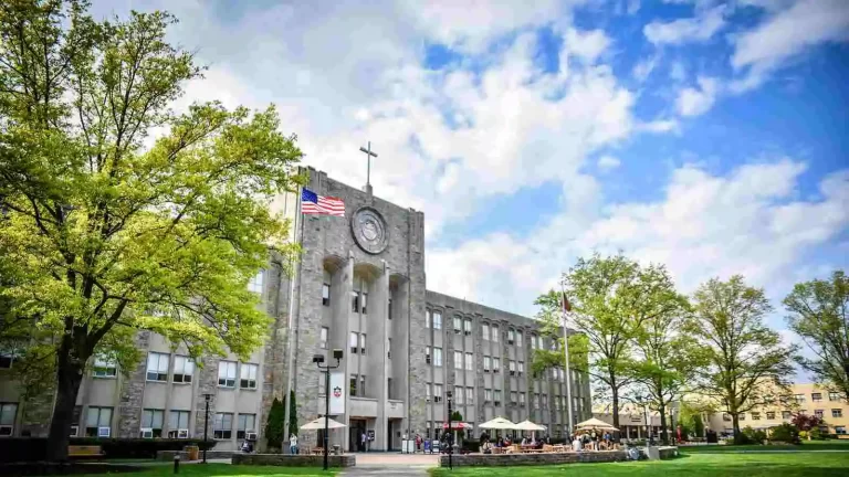 St john' university | international scholarship