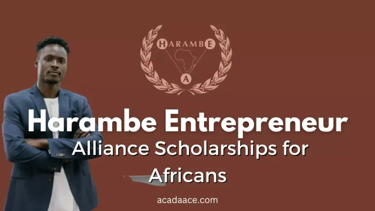 Harambe Entrepreneur ALLIANCE SCHOLARSHIP