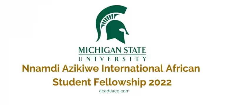 International African Student Fellowship 2023