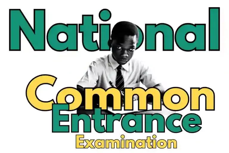 National Common Entrance 2023 CBT | Image of black boy writing examination