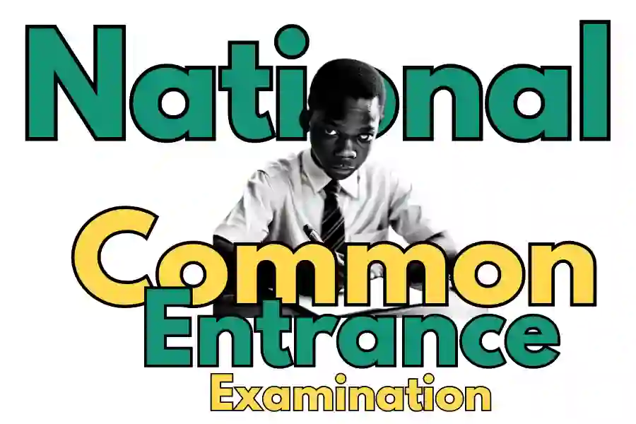 National Common Entrance 2023 CBT | Image of black boy writing examination