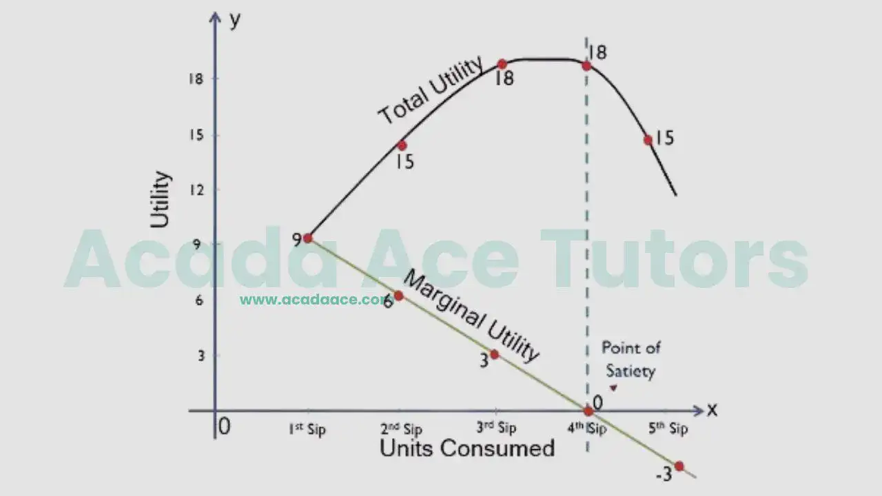 JAMB Economics Class | Relationship Between Total Utility and Marginal Utility (Curve)